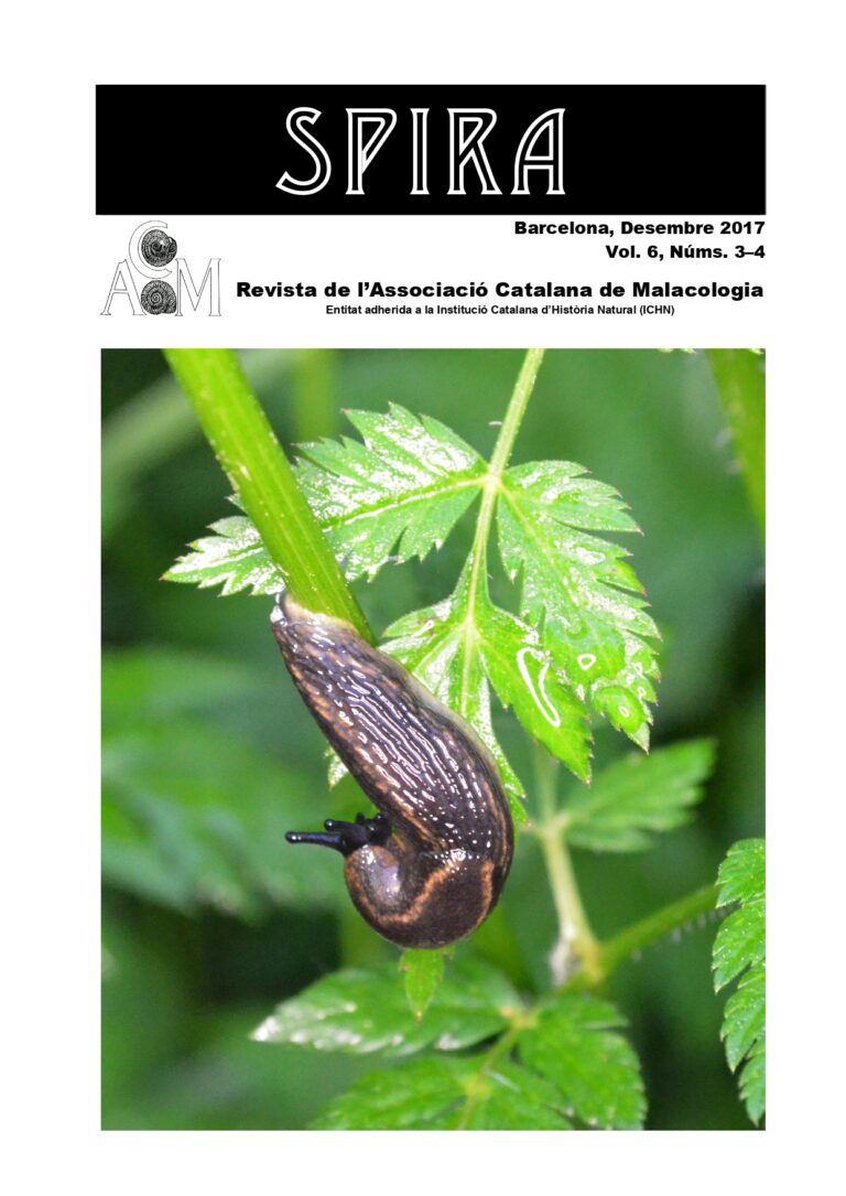 SPIRA Portada 6(3-4)