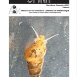 Portada Volum 9 desembre de 2023